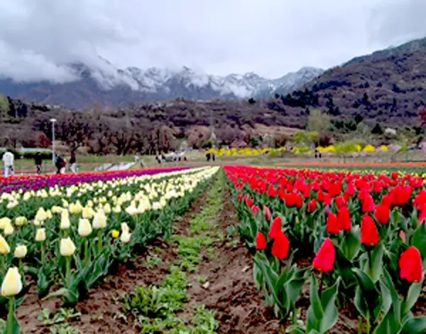 Mughal garden and mountain scenery in Srinagar